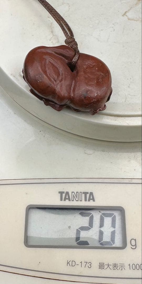 2026.2.8桜花海昼寝子犬魂玉　新潟赤玉