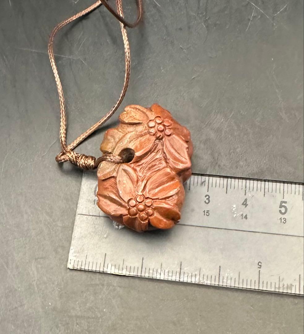 2026.2.8桜花海昼寝子犬魂玉　新潟赤玉