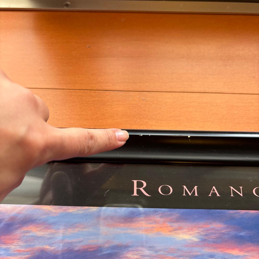 ラッセン ロマンスオブザシー 夕日 サンセット クジラ 風景 版画 額