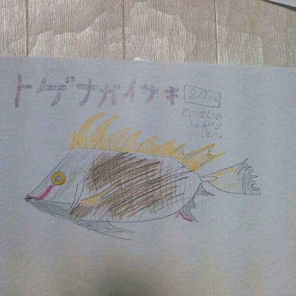 魚の絵！