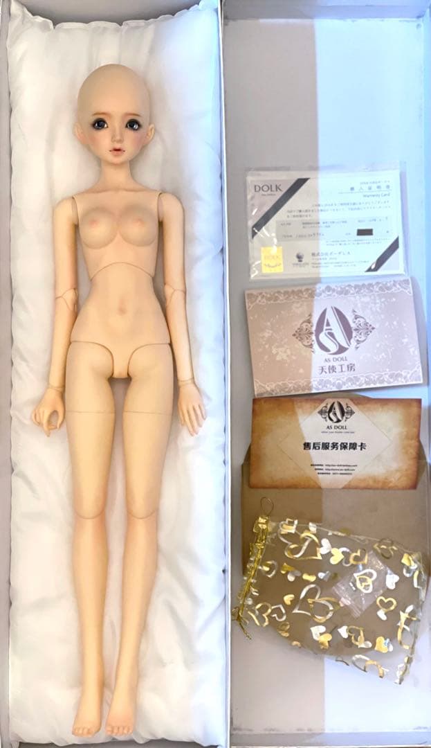 Angell Studio シャルロッテ　ヘッド＆ボディ　キャストドール