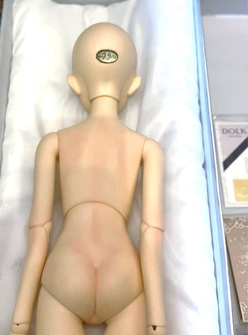 Angell Studio シャルロッテ　ヘッド＆ボディ　キャストドール