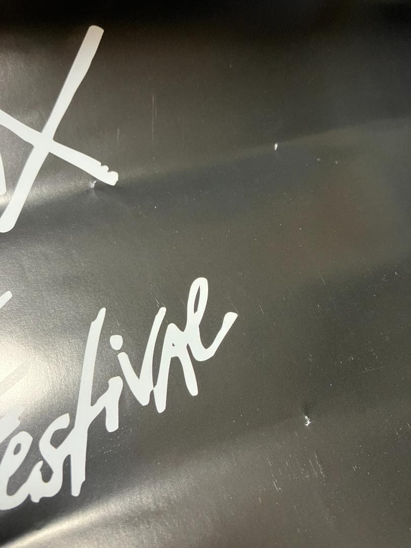 限定！イギーポップ Iggy Pop The Stooges タワレコ ポスター