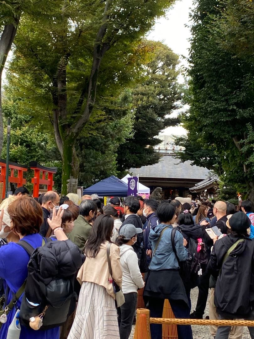 己巳の日 蛇窪神社 夢巳札＆巳くじ＆清め塩(計3品)