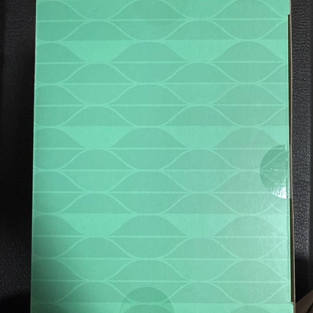 ポケモンセンターオリジナル フィギュア N＆ゾロア