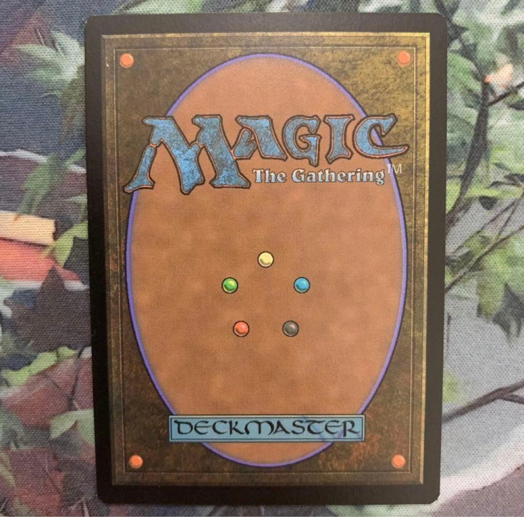 宝石の睡蓮　英語　1枚