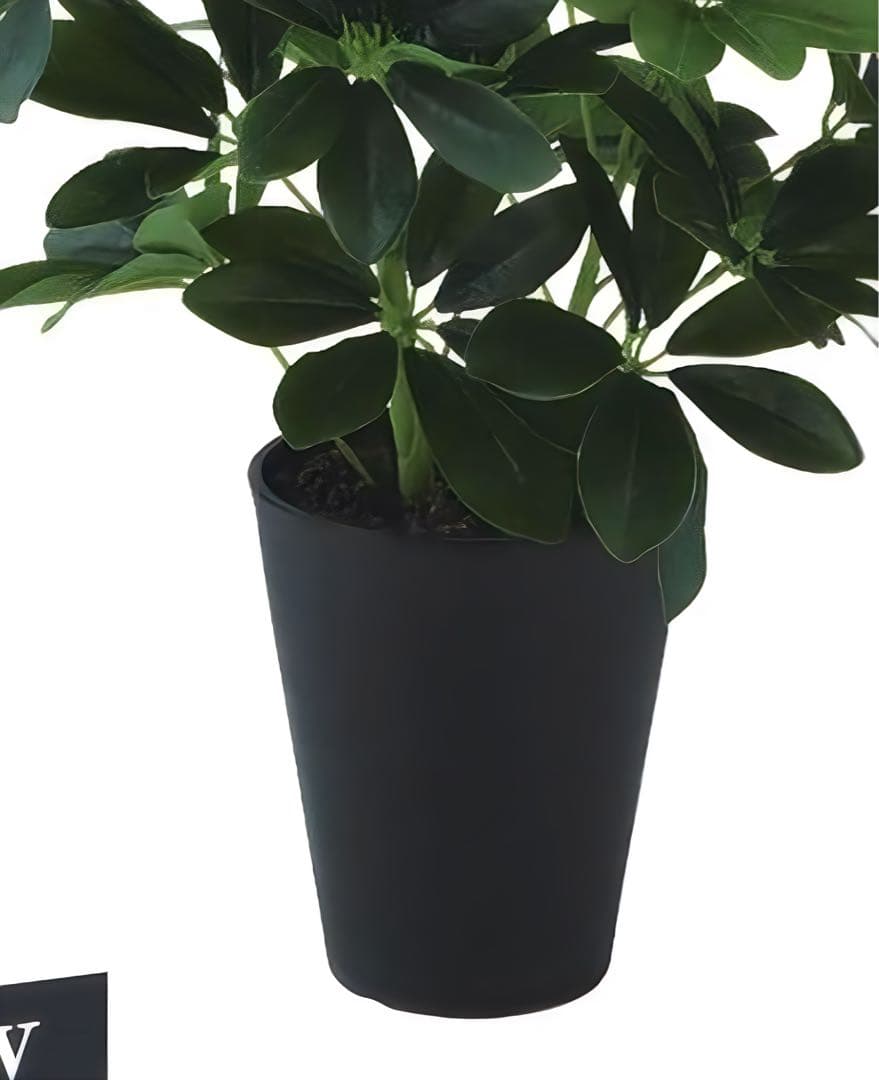 光触媒　人工観葉植物　ウォールグリーン　フェイクグリーン　グリーンカポックM