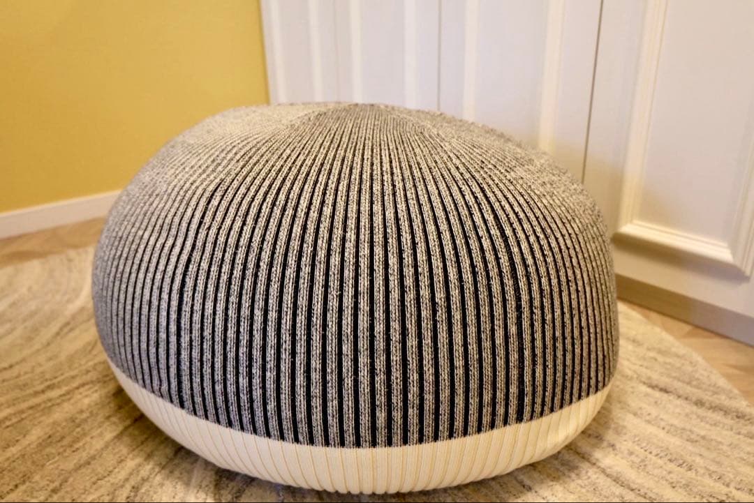 【ヘムヘムさん専用】IDEEプフ本体➕カバー セット（大のみ）