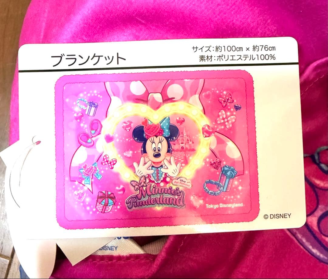 ディズニーランド パルパルーザ ミニーのファンダーランド