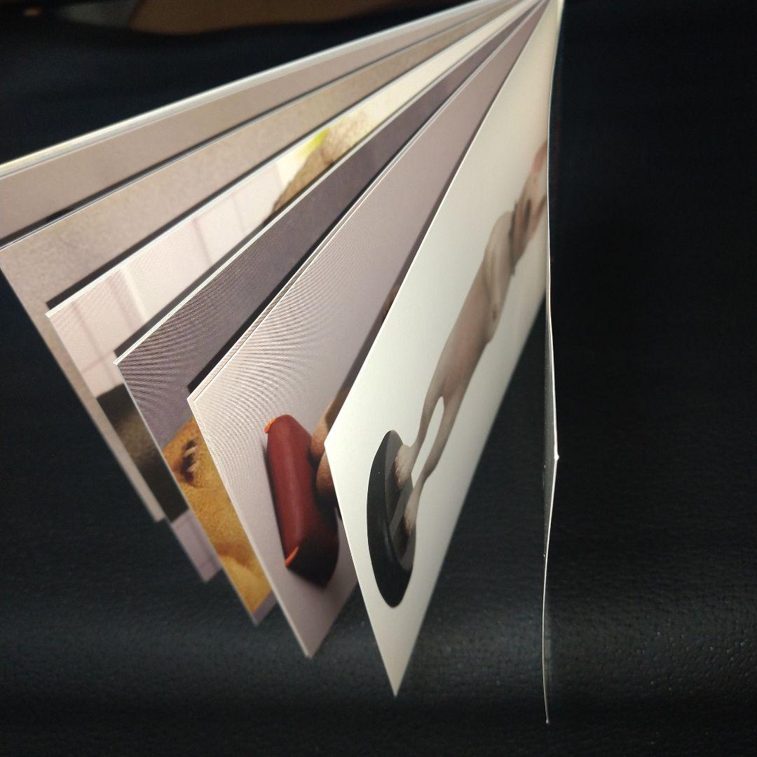 新品！ 朝隈俊男 犬の留守番 ポストカード付き 海洋堂 お好きな方にも