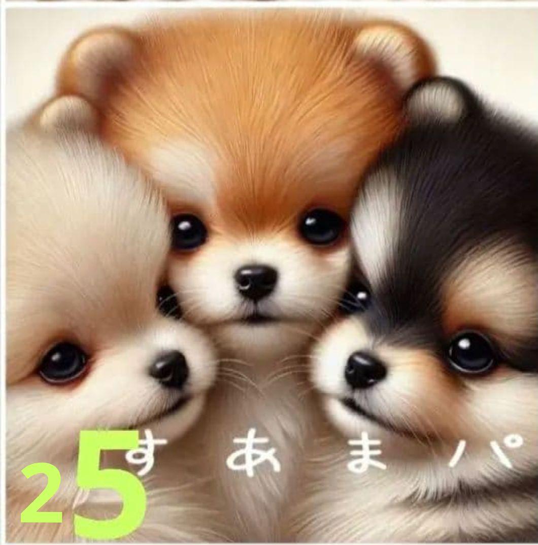 ご確認用　すあま様パネル　わんこ柄12/3 ハンドメイド　ハンカチ