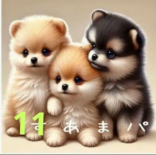 ご確認用　すあま様パネル　わんこ柄12/3 ハンドメイド　ハンカチ