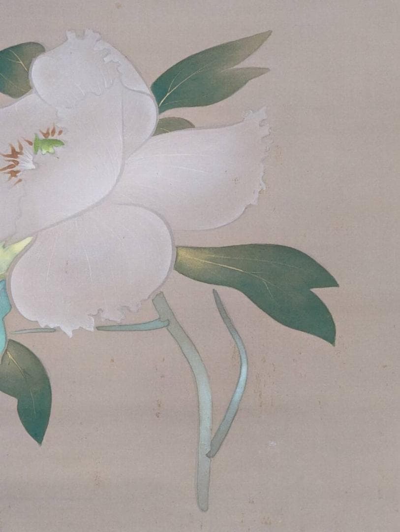 【真作】掛軸　高橋周桑　白牡丹　静寂の美　花鳥画　名品　二重箱入　R148