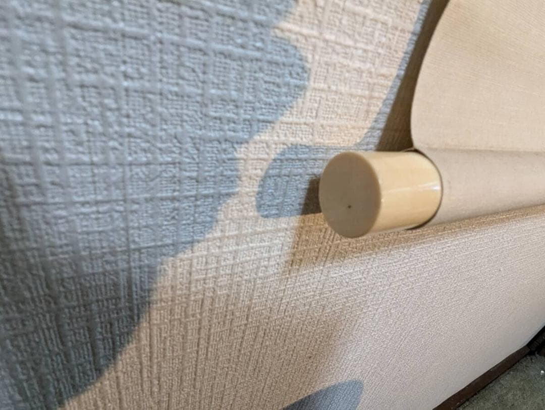 【真作】掛軸　高橋周桑　白牡丹　静寂の美　花鳥画　名品　二重箱入　R148