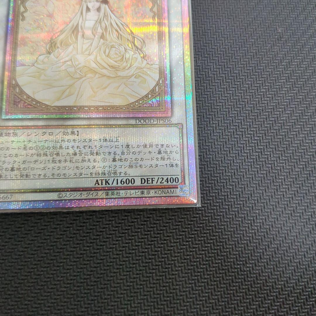 DOOD ガーデン・ローズ・メイデン プリシク　絵違い