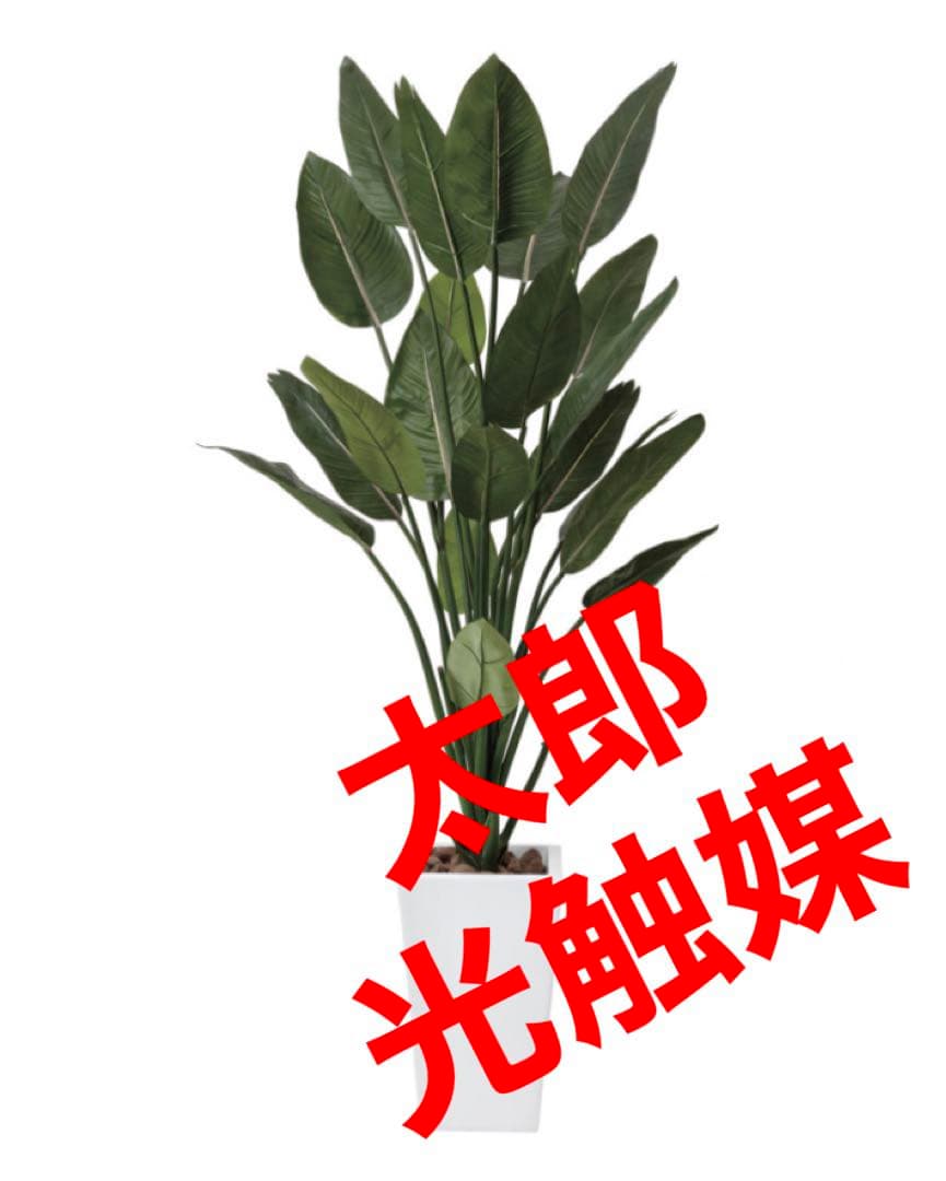 光触媒　人工観葉植物　ウォールグリーン　フェイクグリーン　ストレチア1.6