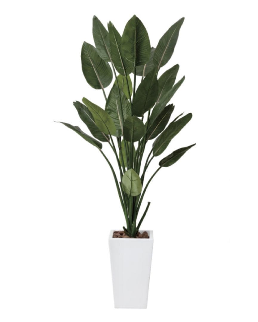 光触媒　人工観葉植物　ウォールグリーン　フェイクグリーン　ストレチア1.6