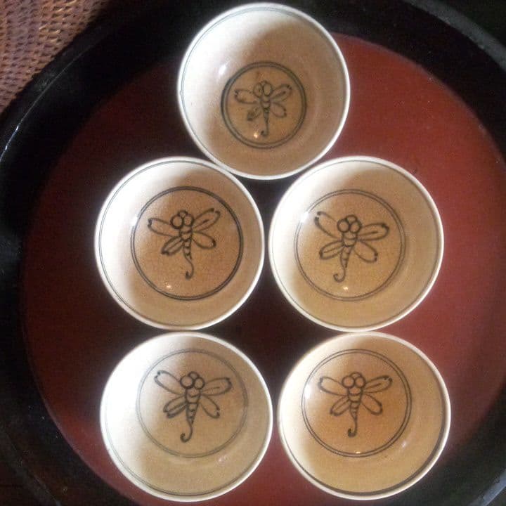 5客　鉄砂　中国トンボ　とんぼ　金魚　　アンティーク　骨董