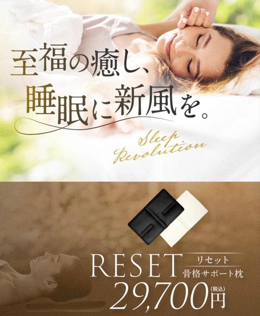 [BEAUTY ARMOR] 整体枕　RESET(リセット)