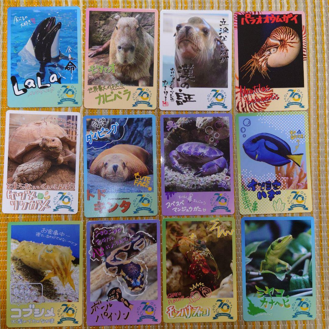 鳥羽水族館 コレクションカード - メルカリ