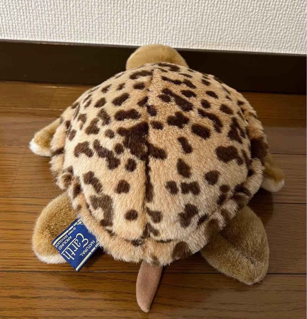 Earth Wind セキグチ製ぬいぐるみ 亀 ウミガメ - メルカリ