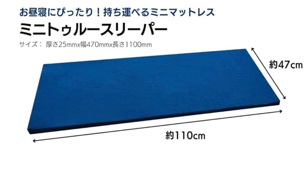 トゥルースリーパー　三つ折りタイプ　シングル　＆　ミニトゥルースイーパー　×２