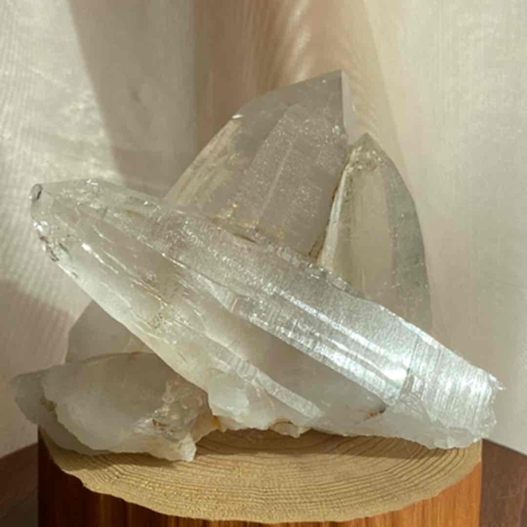 Borders様 リクエスト 10点 まとめ商品 - メルカリ