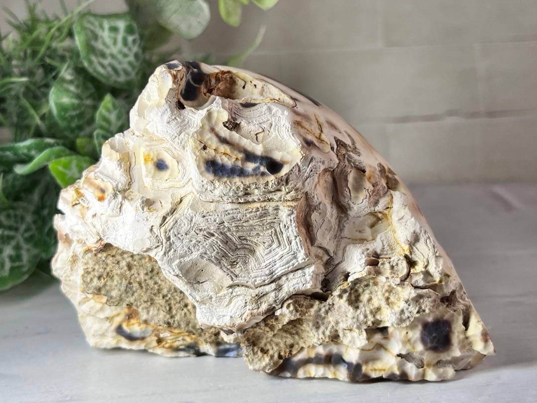 大サイズ　瑪瑙　アゲート ジオード　原石　晶洞　置物