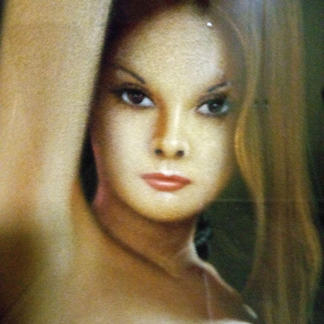 額入り写真裸体&祇園祭(おまけ)