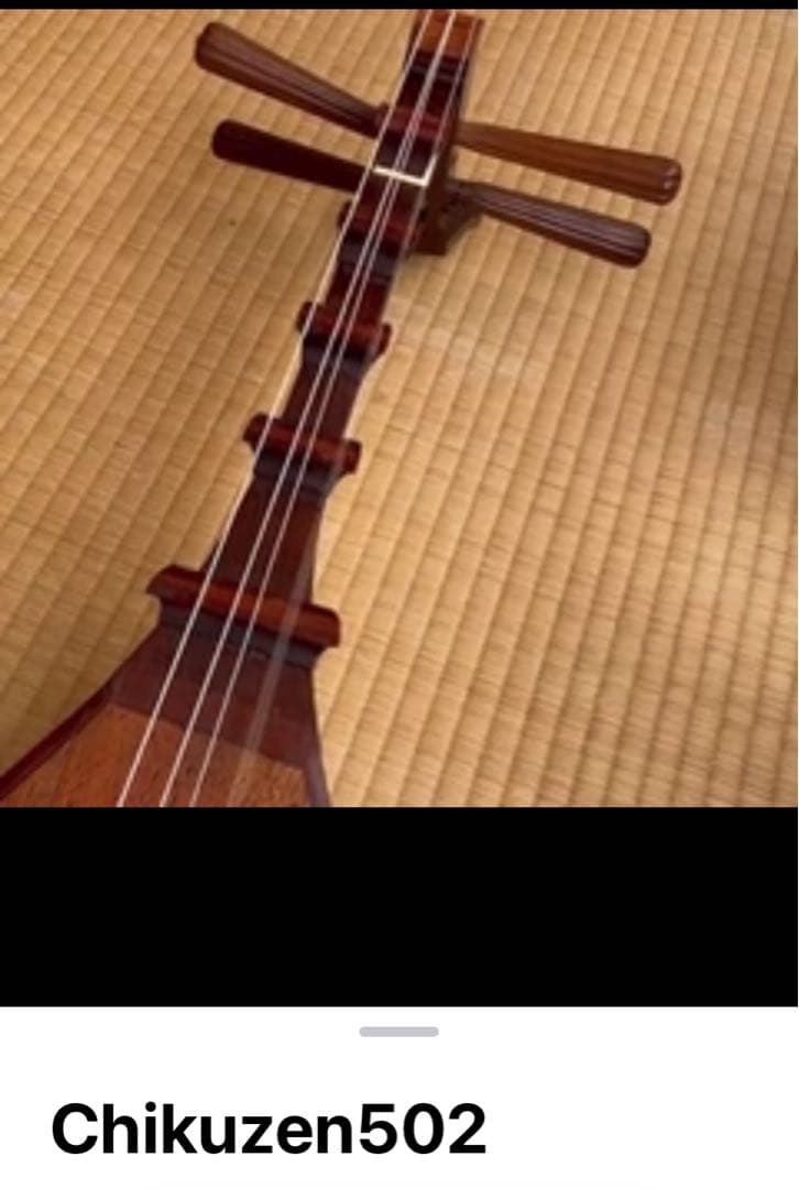 筑前琵琶 撥・架台付属 - メルカリ
