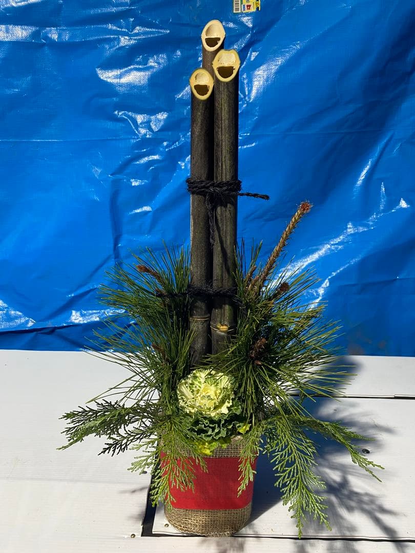 すからざページ