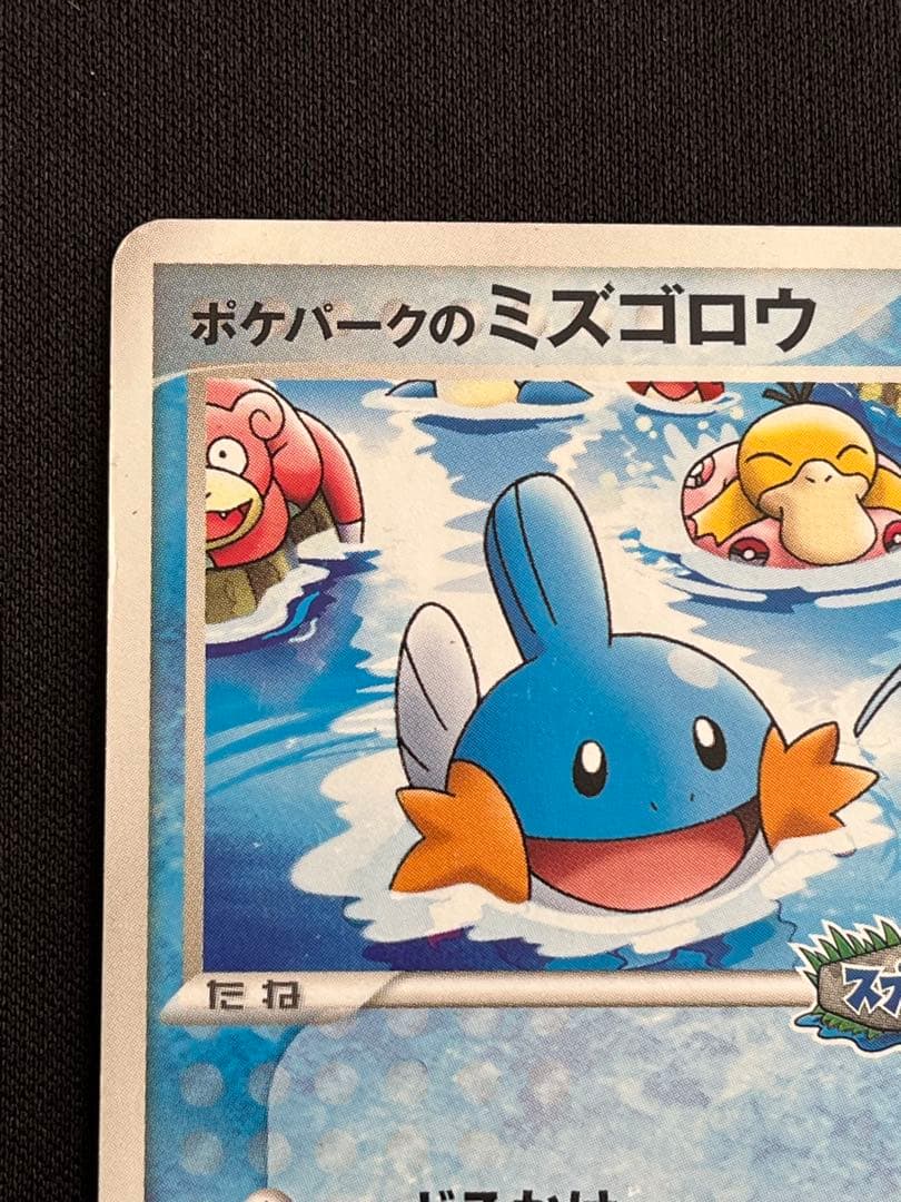 ポケパークのミズゴロウ - メルカリ