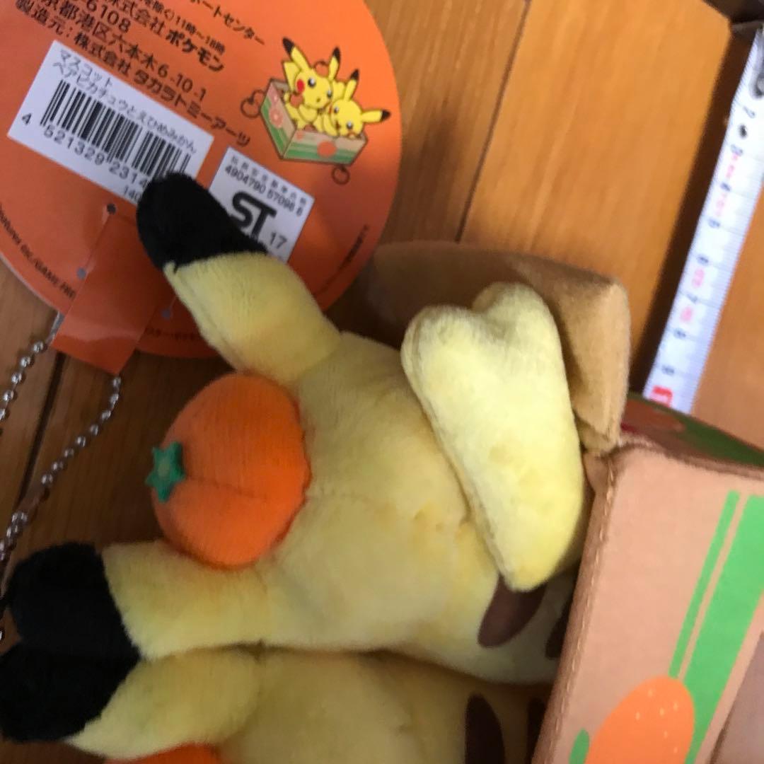 ペアピカチュウとえひめみかん　ぬいぐるみ　愛媛みかん　えひめみかん　愛媛　えひめ