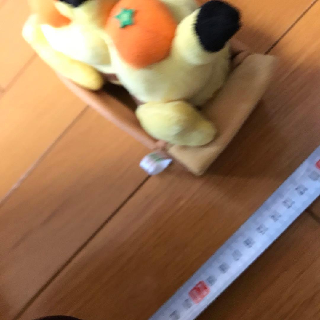 ペアピカチュウとえひめみかん　ぬいぐるみ　愛媛みかん　えひめみかん　愛媛　えひめ