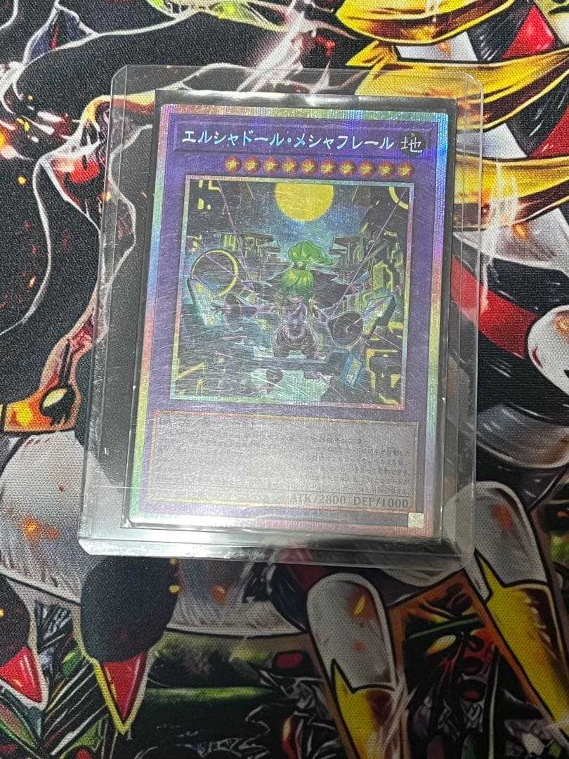 エルシャドールメシャフレール プリシク