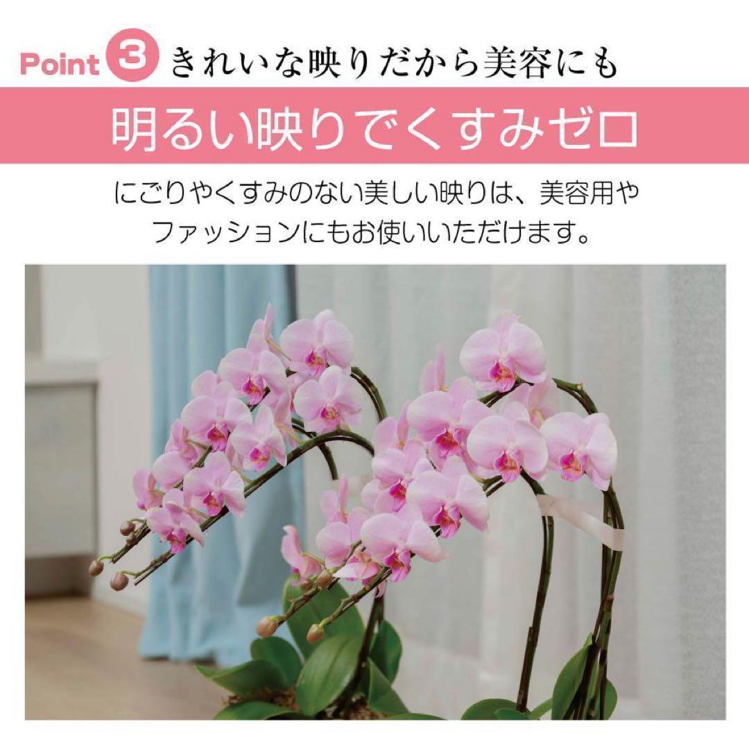 フィルムミラー 割れない 160cm 100cm キャスター 軽量 白 2660