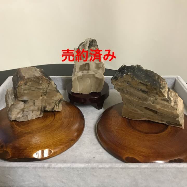 ★特選一品★希少レア✴︎木の化石♦️【ペトリファイドウッド珪化木ブレス&原石】♡