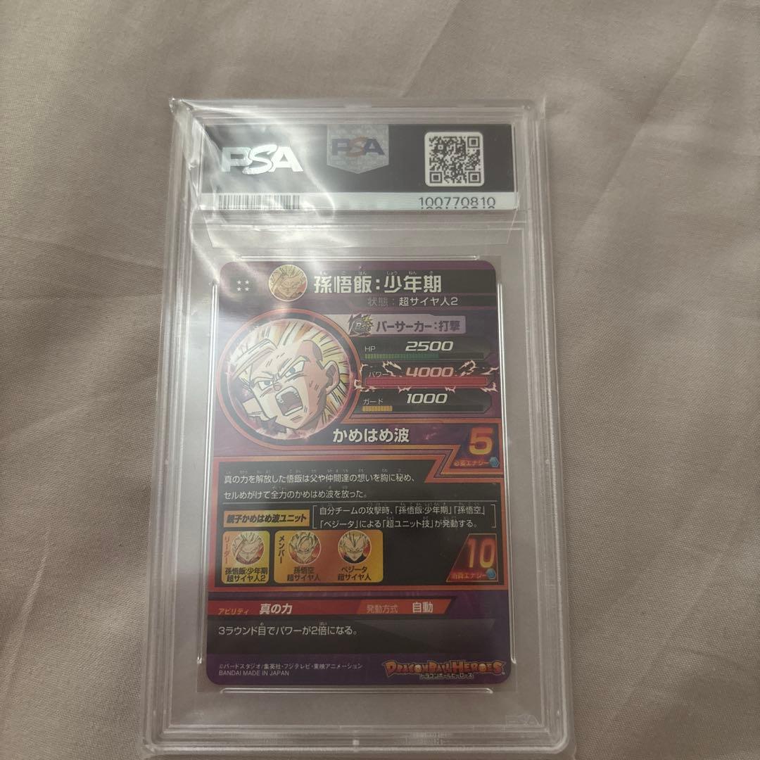 H2-16cp孫悟飯:少年期