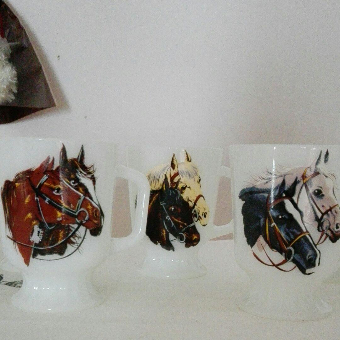 fire kingファイヤーキング　フーテッドマグ９個セット