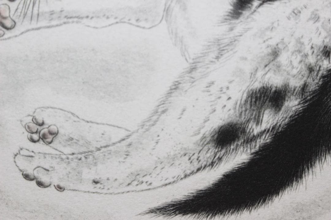 藤田嗣治 リトグラフ 猫十態より「眠る猫」 100部限定 12/100 - メルカリ