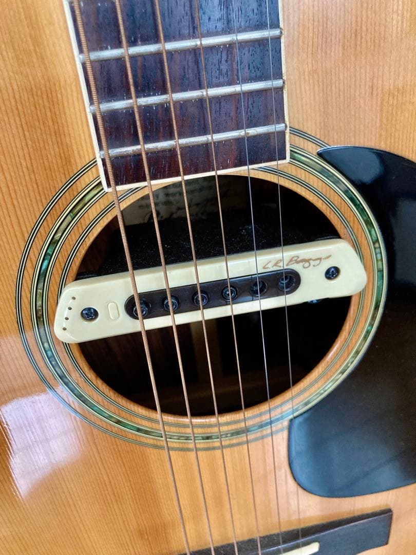 Rider. R-400D & L.R.Baggs M80 PU付き