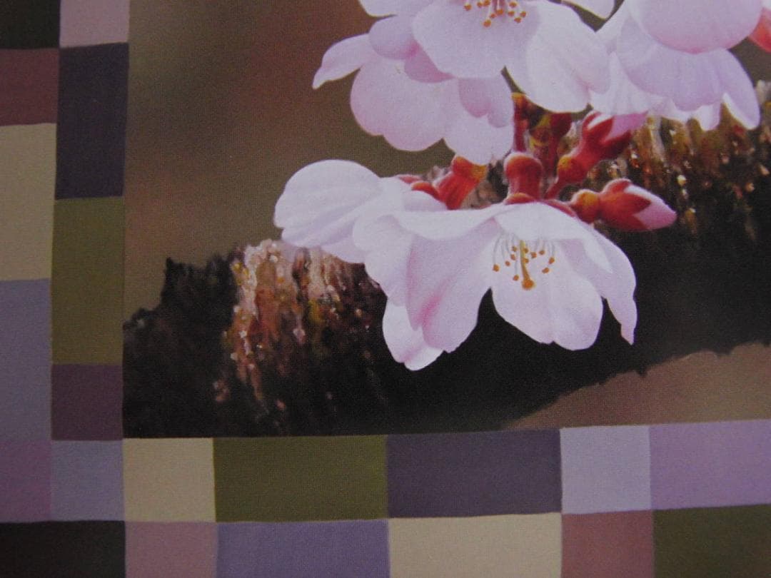 山地司、【桜、微笑ろぶ2】、希少な額装用画集より、状態良好、新品額装付