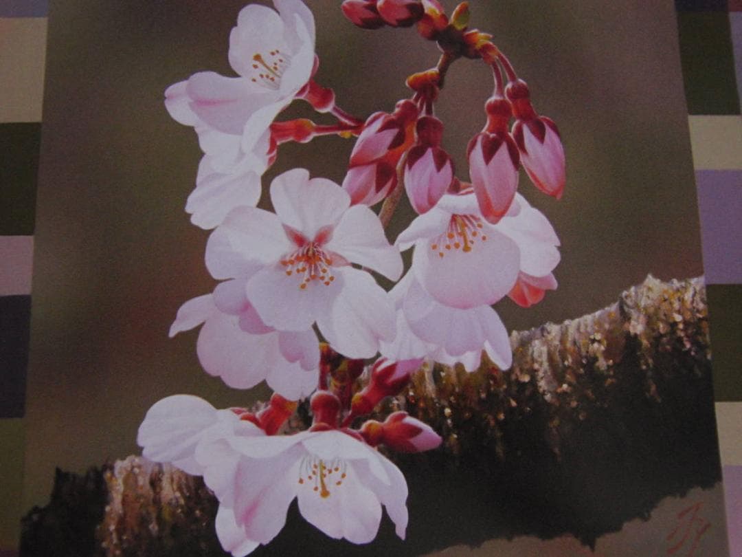 山地司、【桜、微笑ろぶ2】、希少な額装用画集より、状態良好、新品額装付