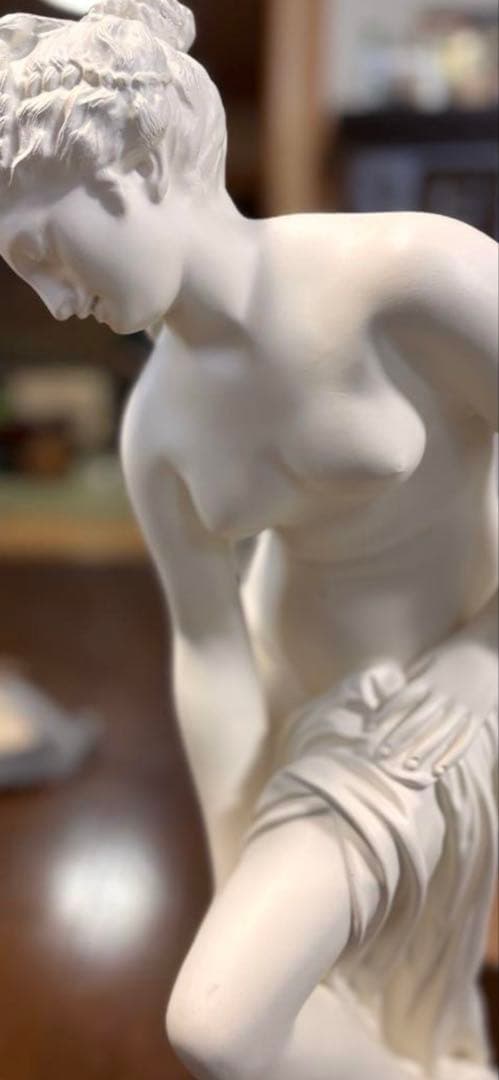 石膏像　湯浴みするヴィーナス 約62cm