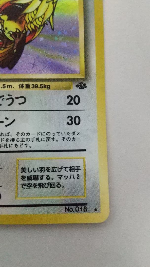 旧裏ポケカ ピジョット ☆ 全ホロ弱、十字、大玉、第2弾拡張パック