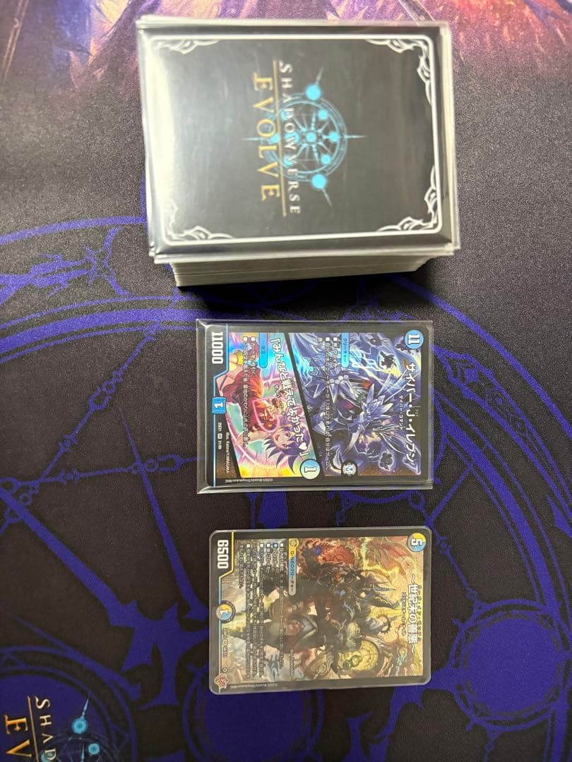 ハンデス型ドロマーゼーロ　+おまけ