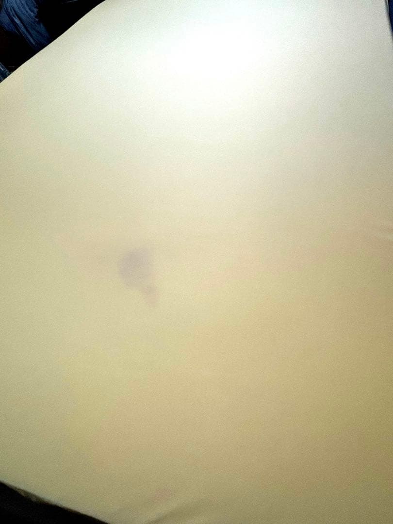 【中古】トゥルースリーパー プレミアム セミダブル 専用カバー付