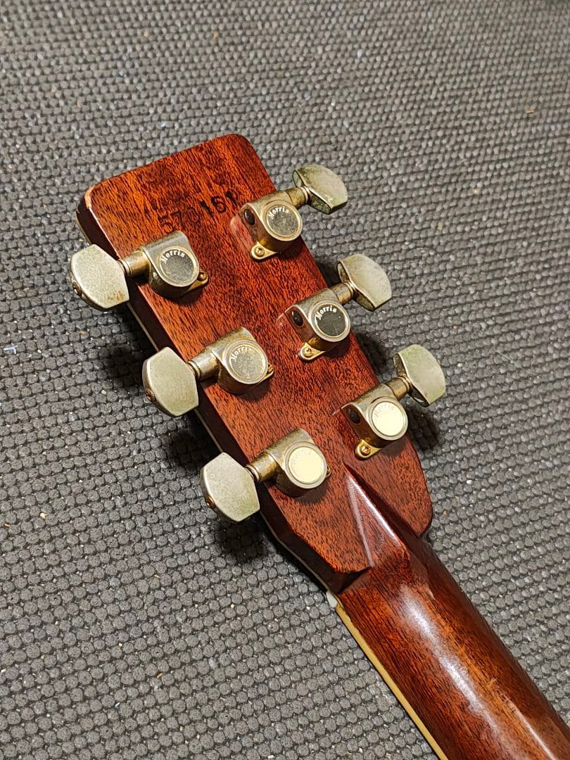 Morris TF-801ハカランダ/訳あり - メルカリ