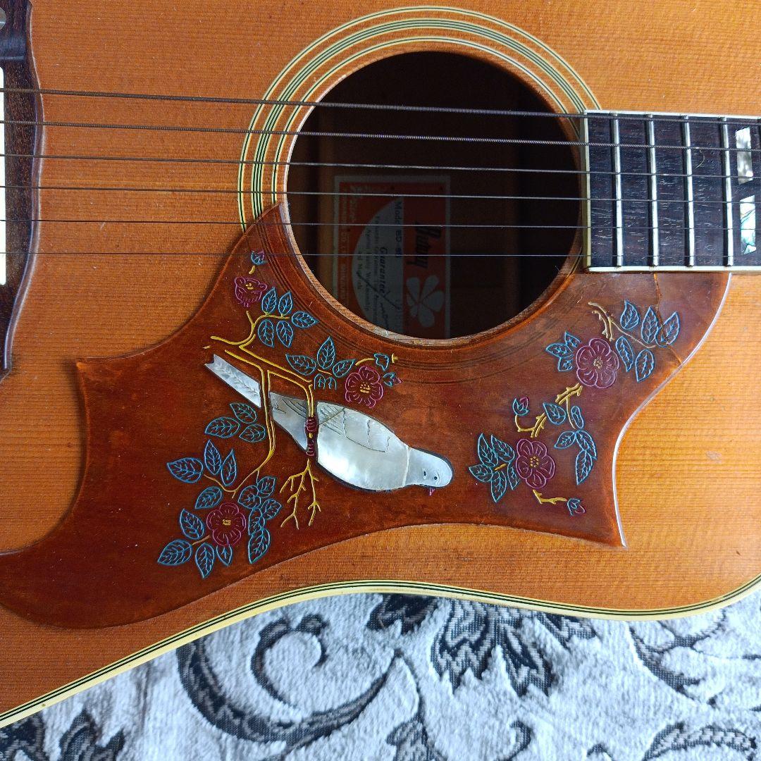 DOVEダヴモデル Burny BD-85 バーニー フェルナンデス 百瀬さん