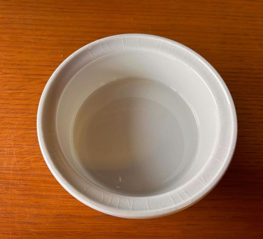 ARABIA Esteri Tomula Vegeta ボウル